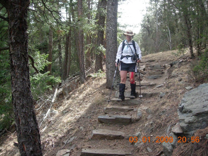 Steps None
