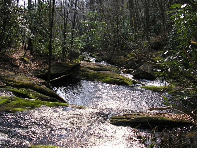 Stream Crossing None