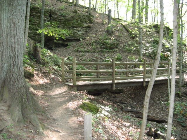 Sturdy bridge None