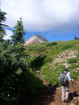 Summit View None