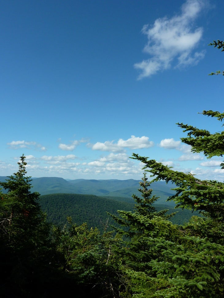 Summit View None