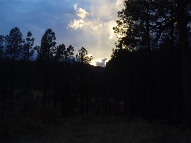Sunset None