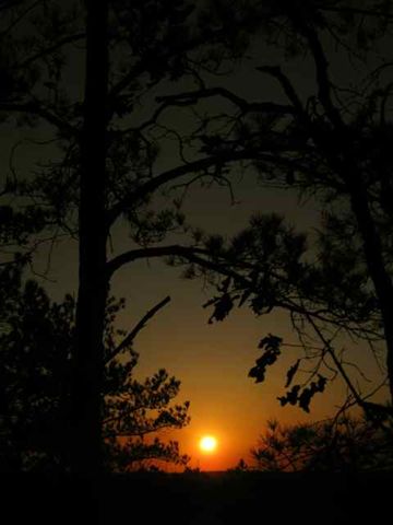Sunset None