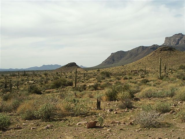 Superstitions from trail None