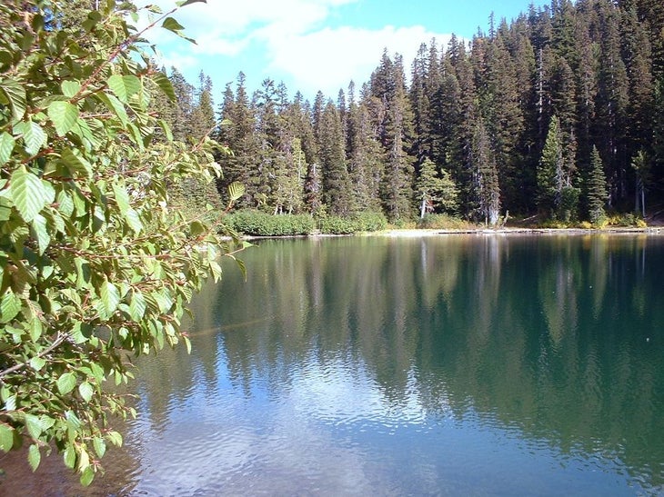 Surprise Lake None