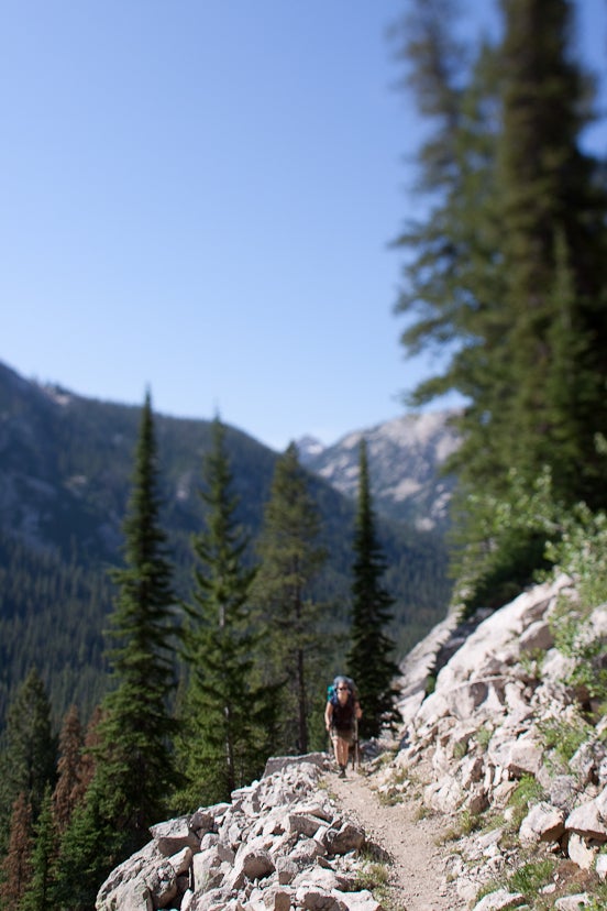 Switchbacks None