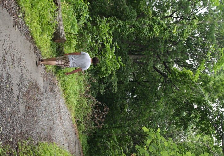 Taking an afternoon stroll None