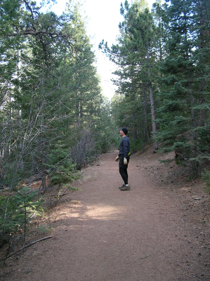 Tall Pines None