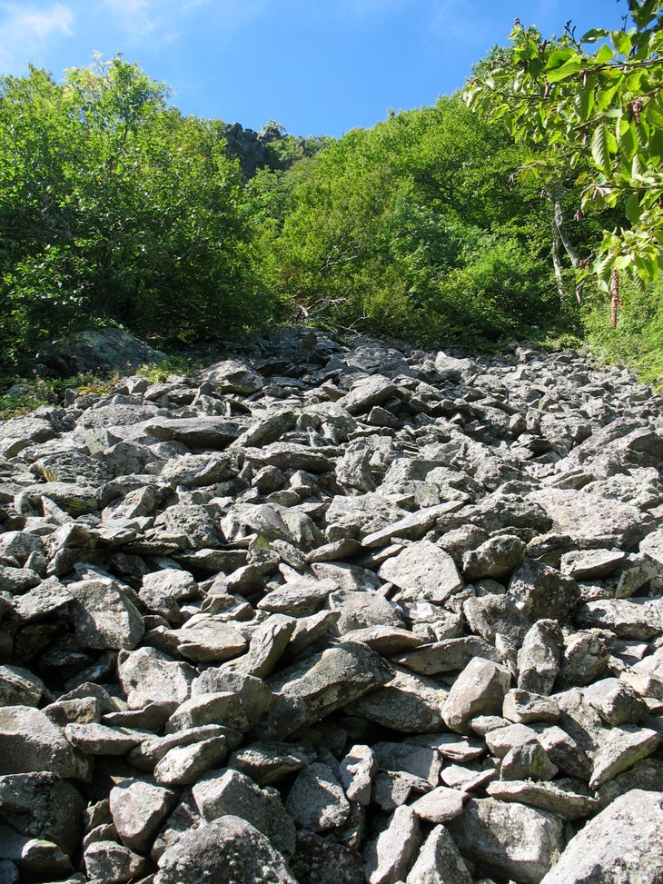 Talus Field None