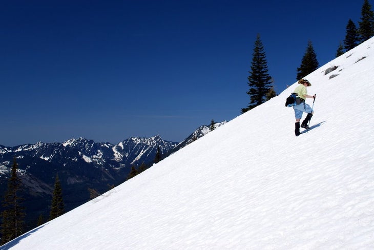 The Ascent None