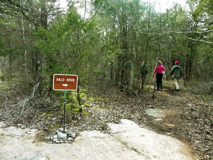 The Fork to Bald Knob None