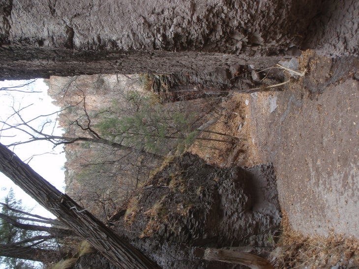 The Narrow None