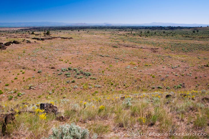 Thomas-Wright Battlefield None