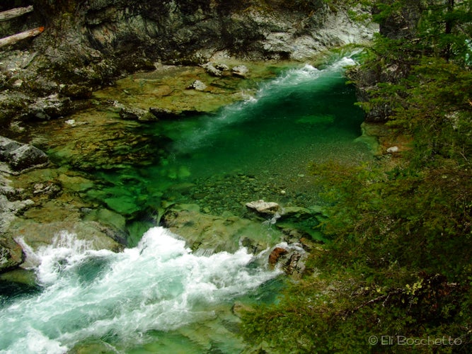Three Pools None