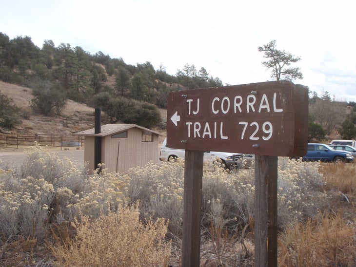 TJ Coral None