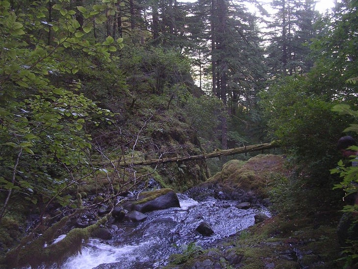 Top of Ponytail Falls None