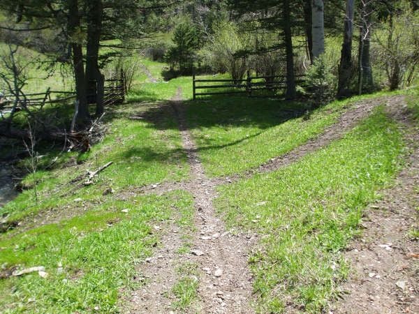 Trail None