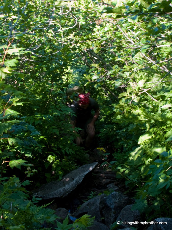 Trail None