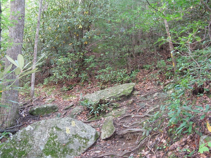 Trail Intersection None