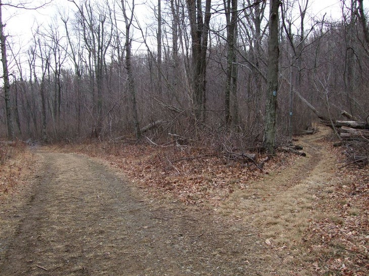 Trail Junction None