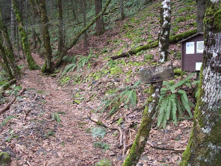 Trail Junction None