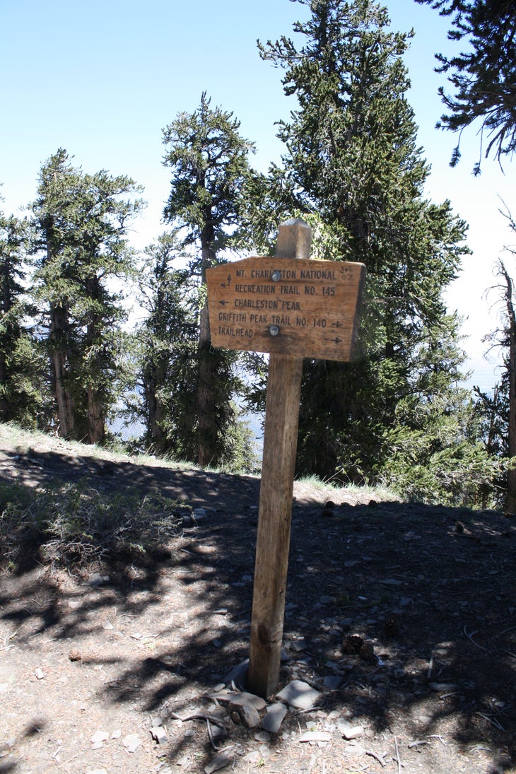 Trail Junction None