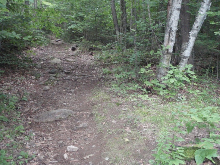 Trail Junction None