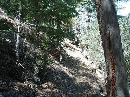 Trail Markers None