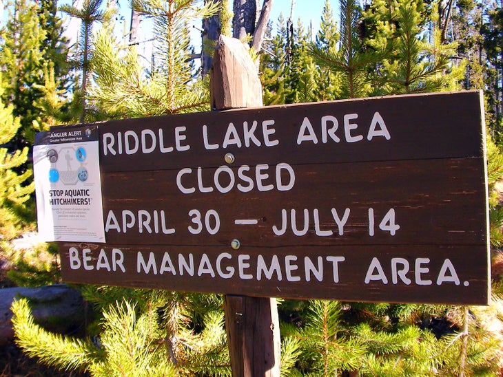 Trail Sign None