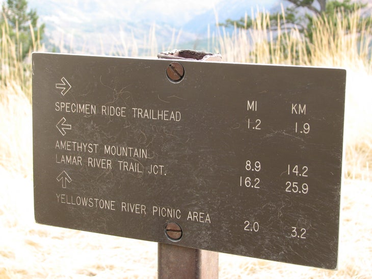 Trail Sign None