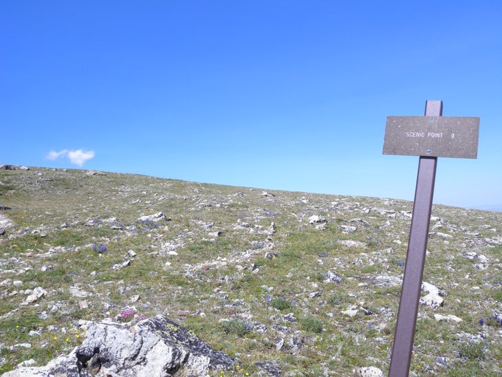 Trail Sign None