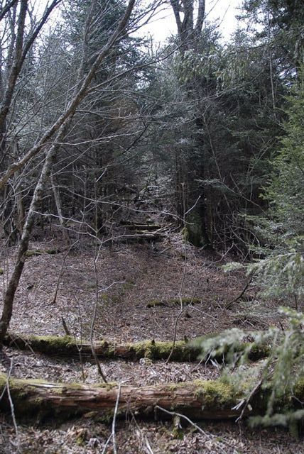 Trail to Plott Balsam None