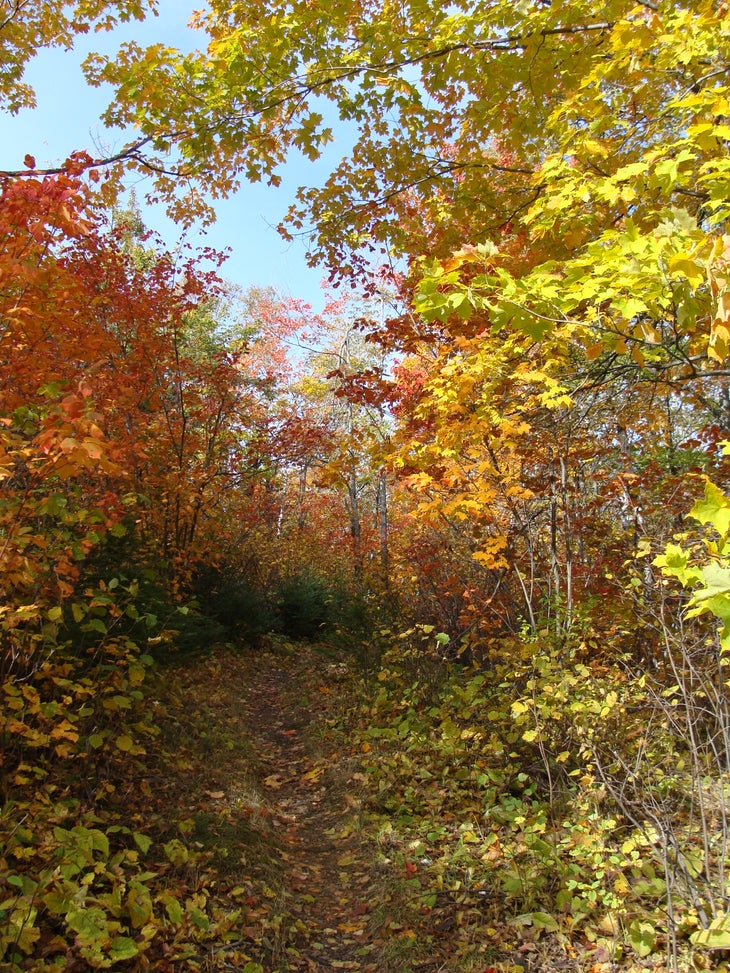 Trail View None
