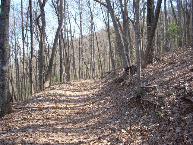 Trail View None