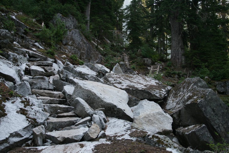 Trail Views None