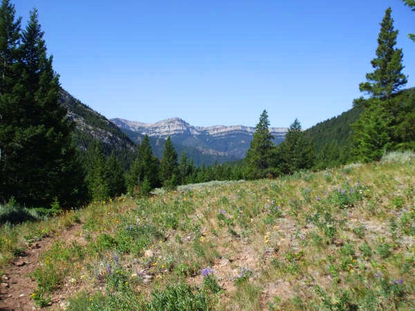 Trail Views None