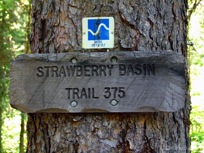 Trailhead None