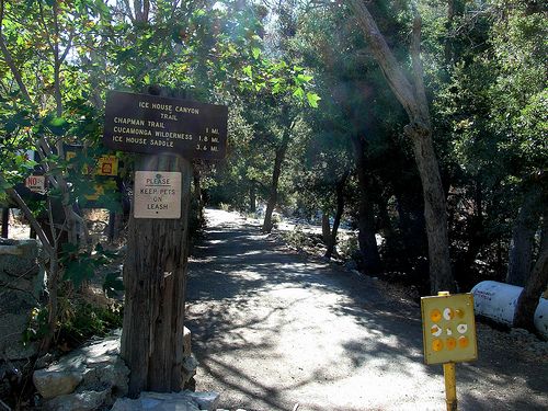 Trailhead None