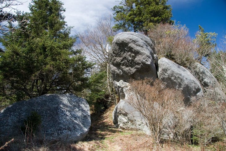 Trailside Boulders None