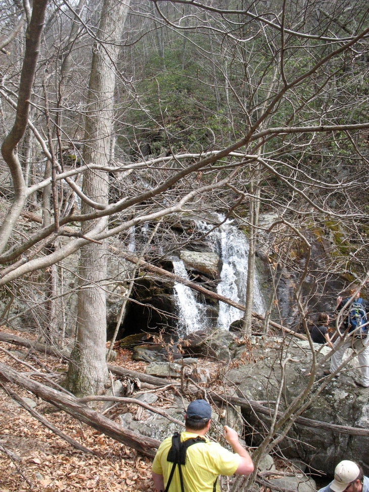 Trailside Cascades None