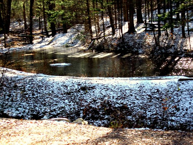 Trailside Pond None