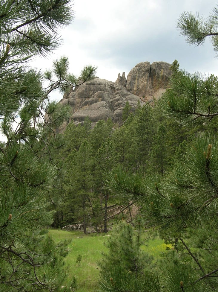 Trailside view None