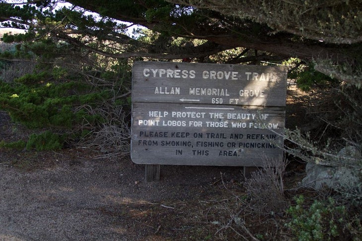 Trailsign None