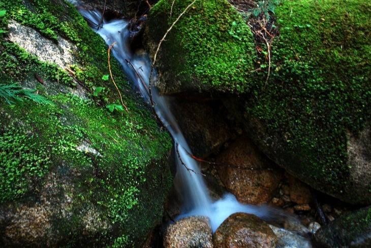 Trickling Stream None