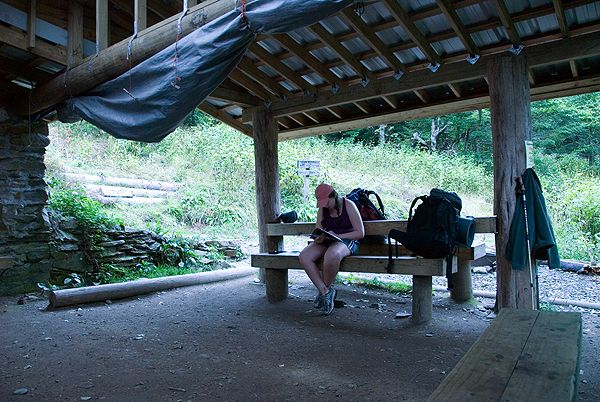 Tricorner Knob Shelter None