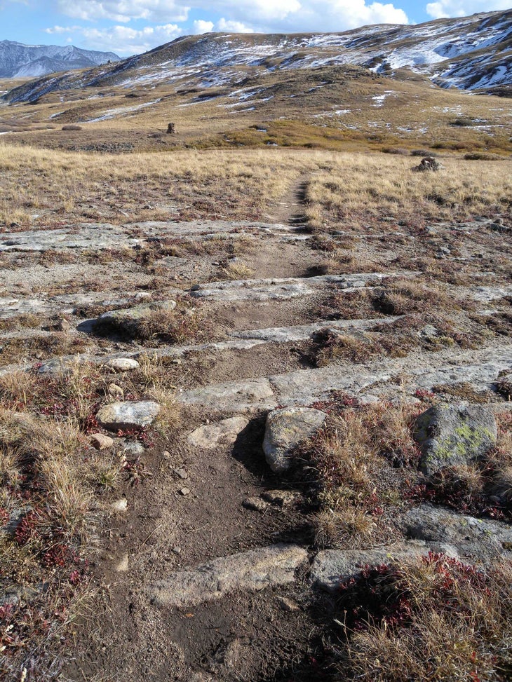 Tundra None