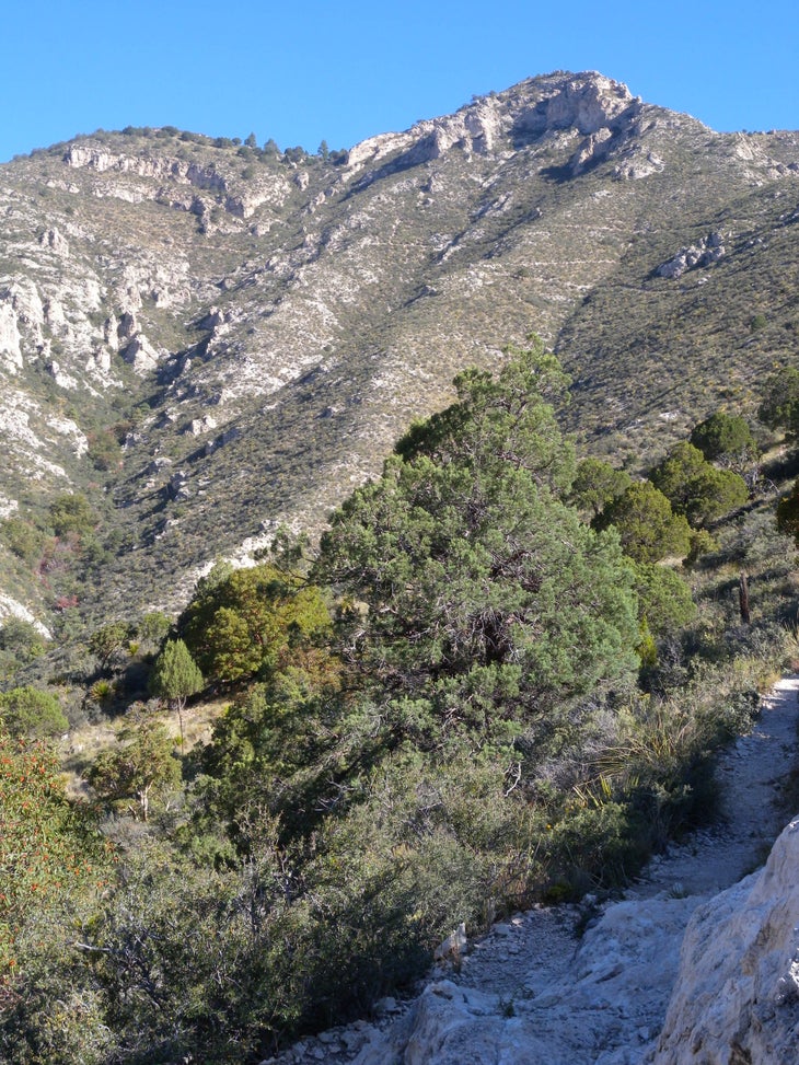 Uphill None