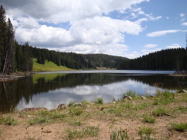 Upper Eggleston Lake None