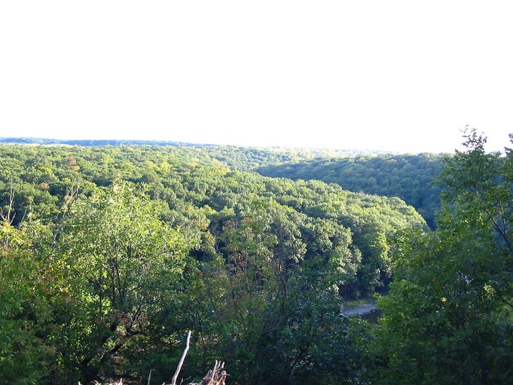 Vermilion River None