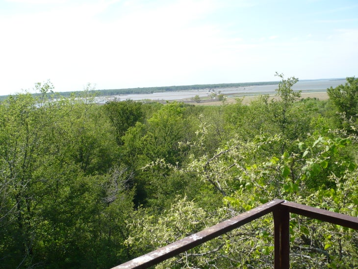 View None